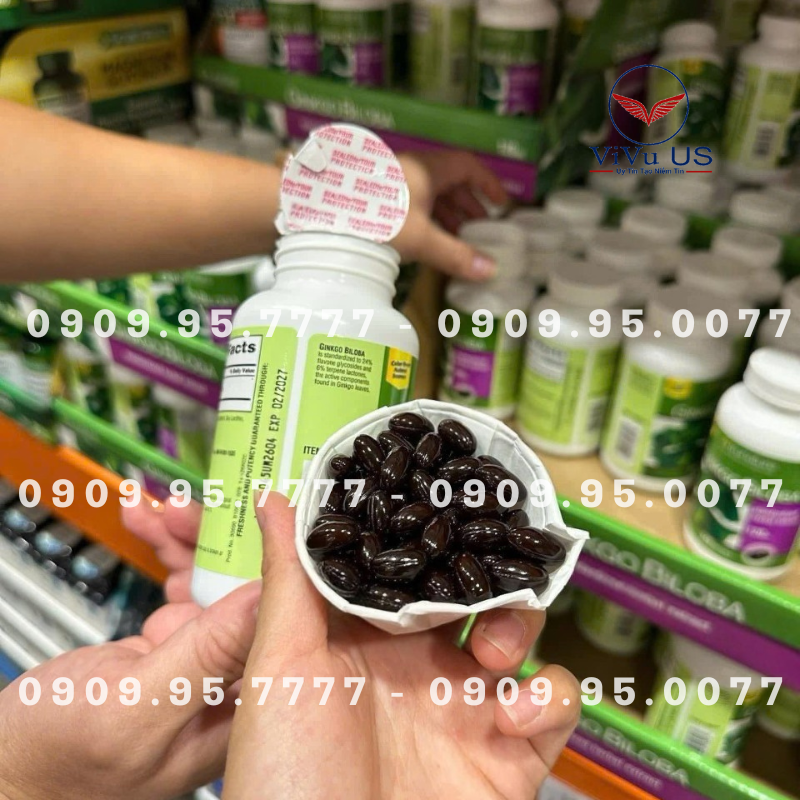 Bổ Não Ginkgo Biloba