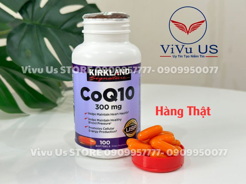 Coq10 300mg Kirkland